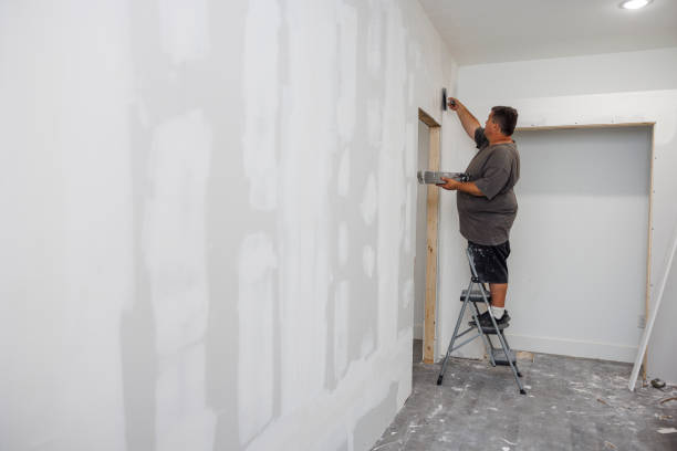 Best Black Mold Removal  in Truman, MN